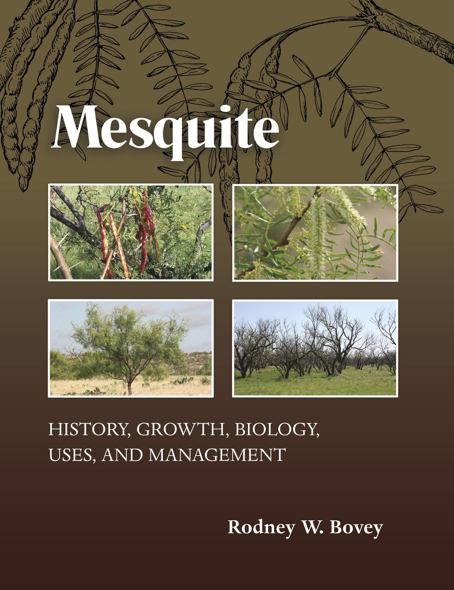 Mesquite: History, Growth, Biology, Uses, and Management