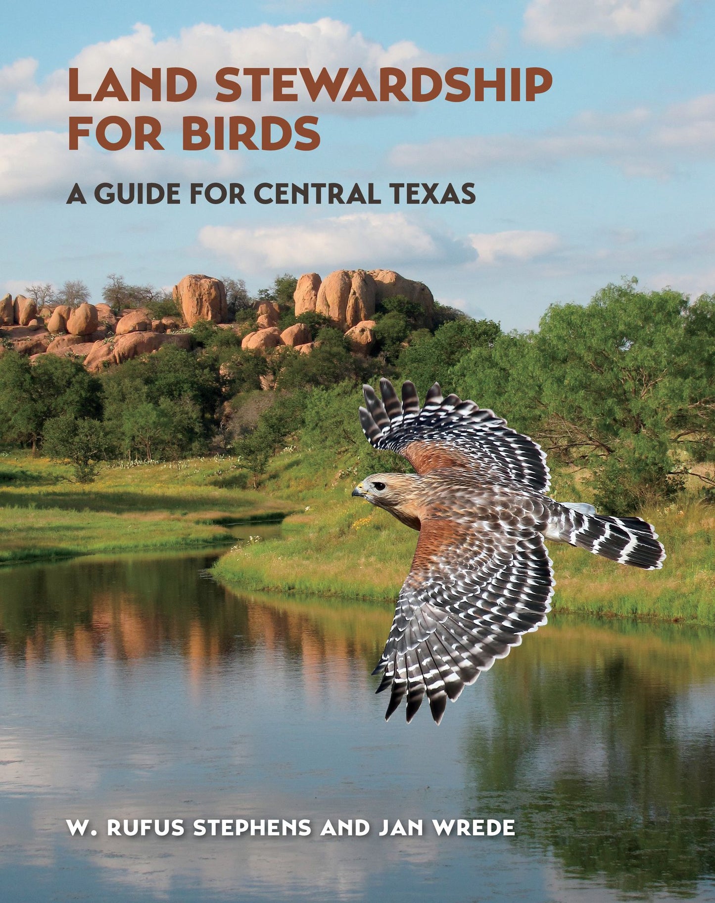 Attracting Birds in the Texas Hill Country: A Guide to Land Stewardship