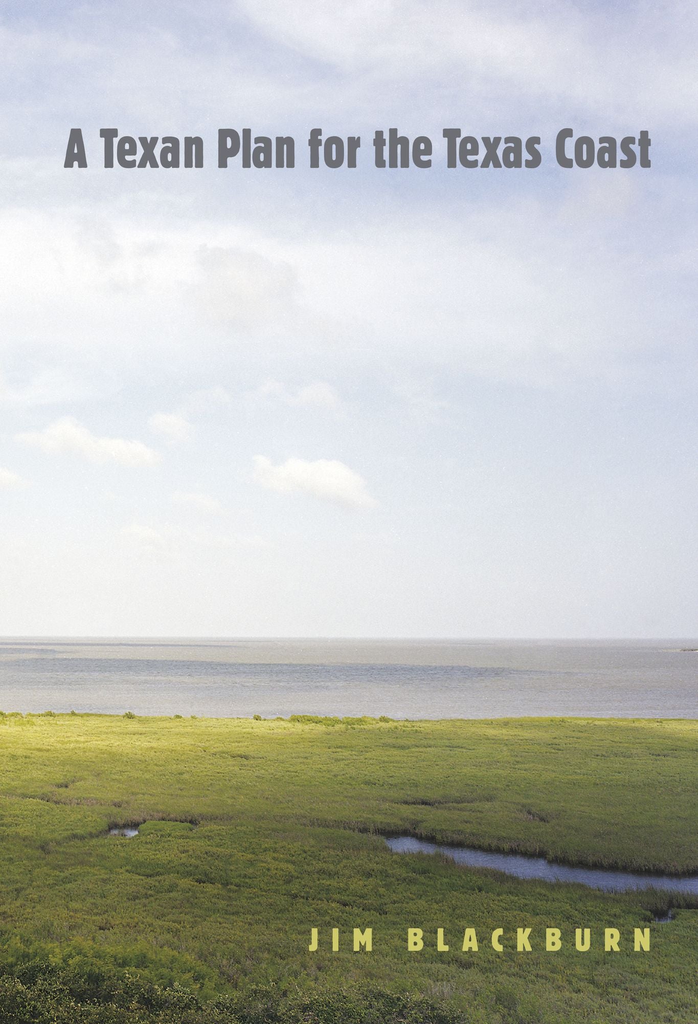A Texan Plan for the Texas Coast