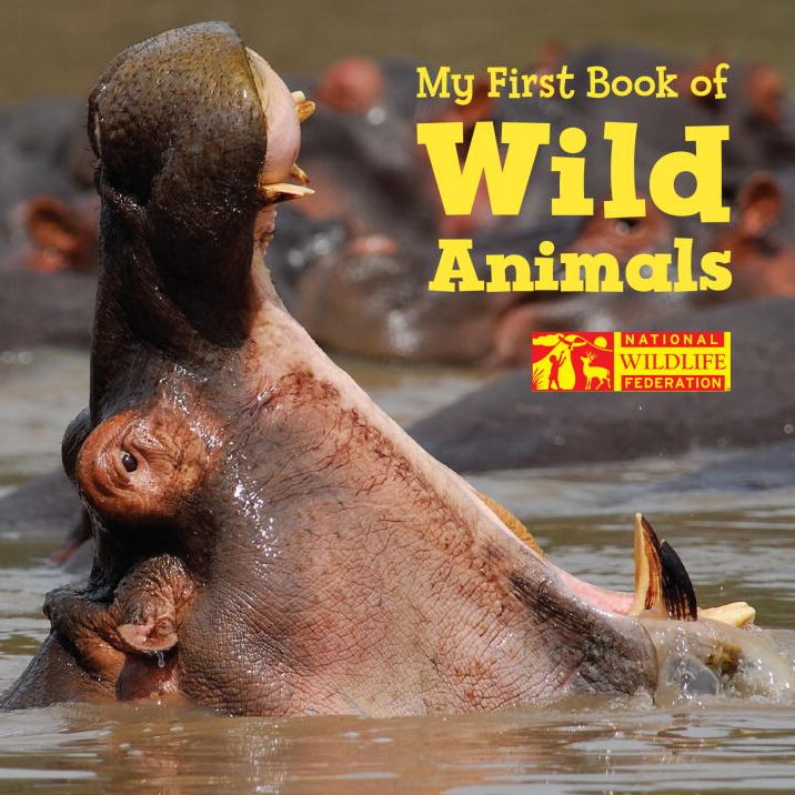 My First Book of Wild Animals (National Wildlife Federation)