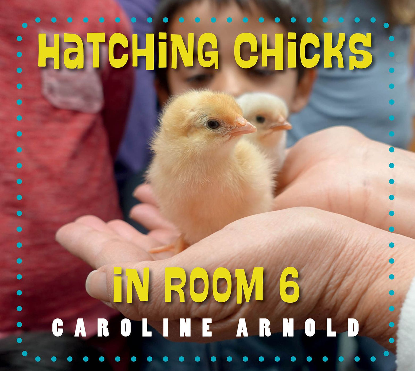 Hatching Chicks in Room 6