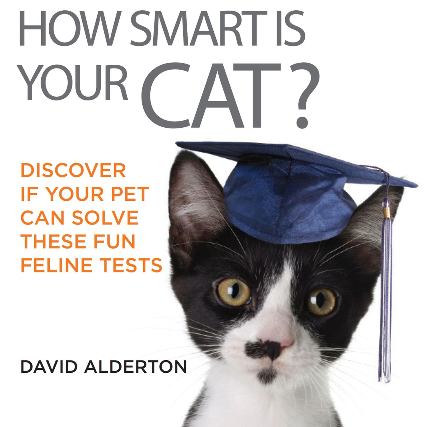 How Smart Is Your Cat?