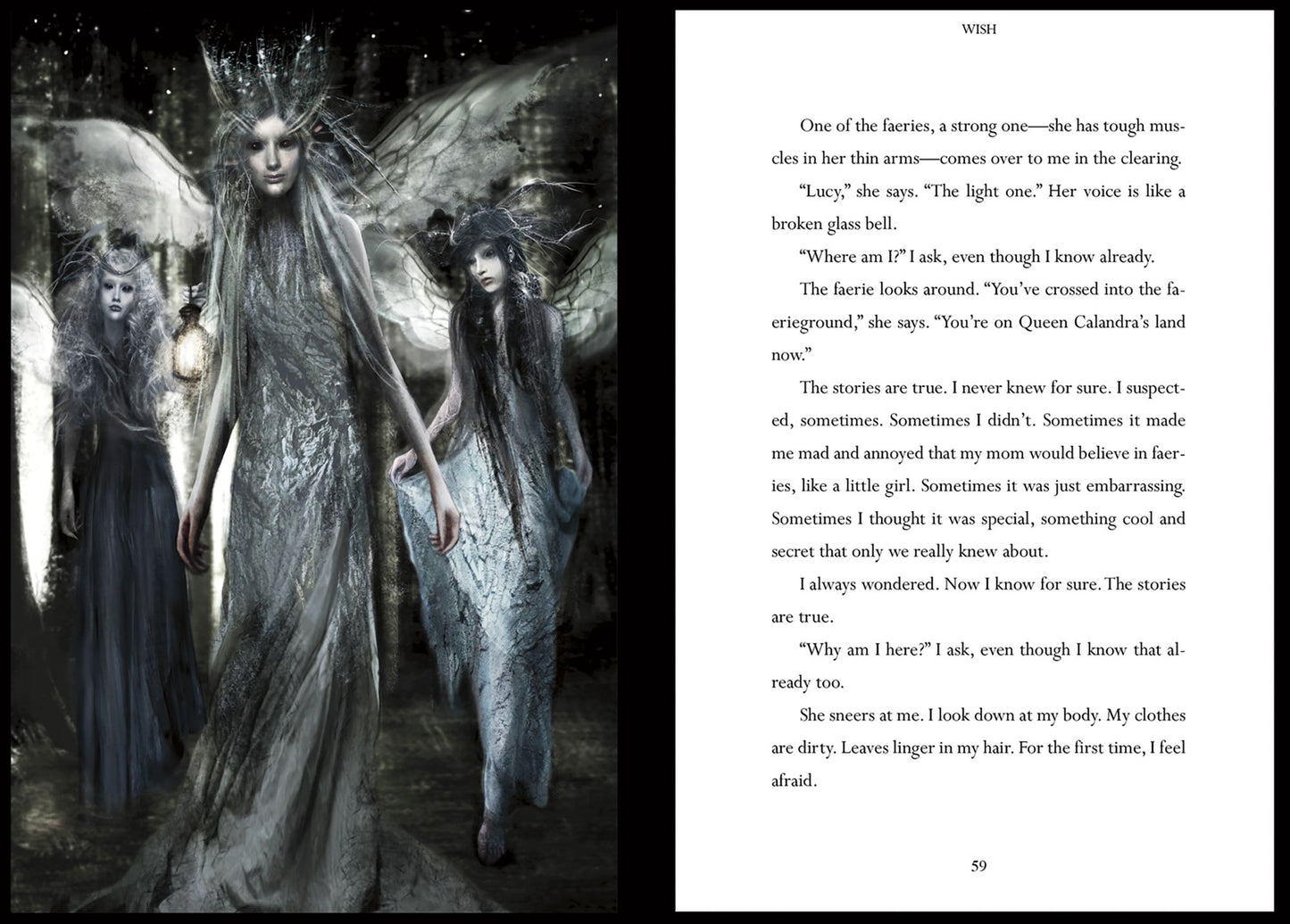 Wish (Faerieground Series)