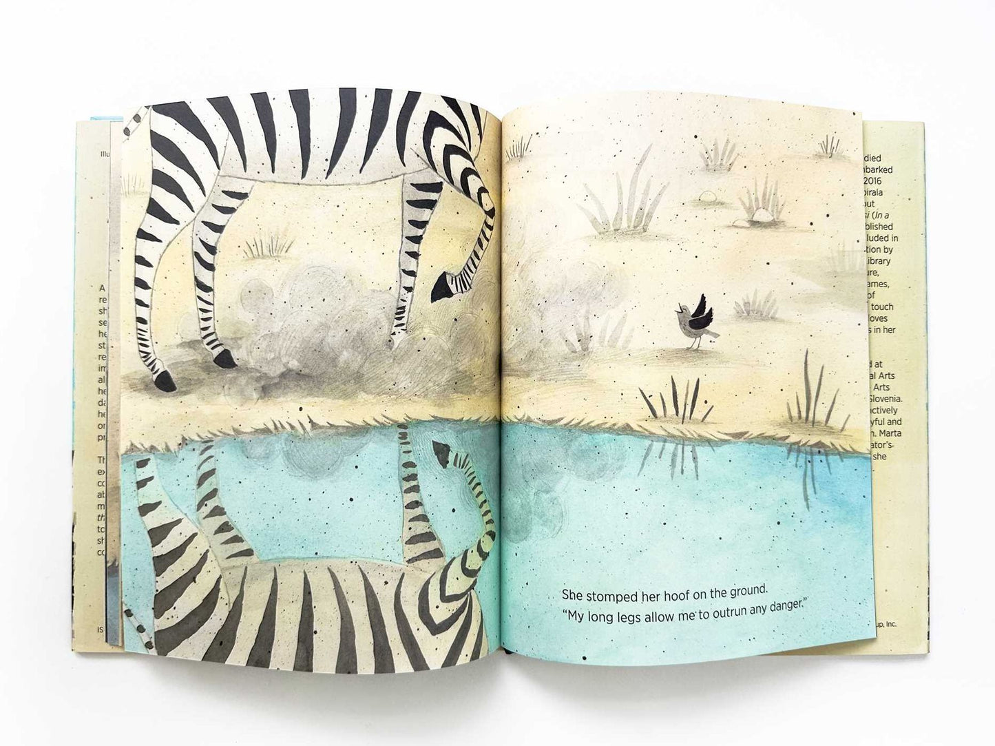 Zebra in the Mirror