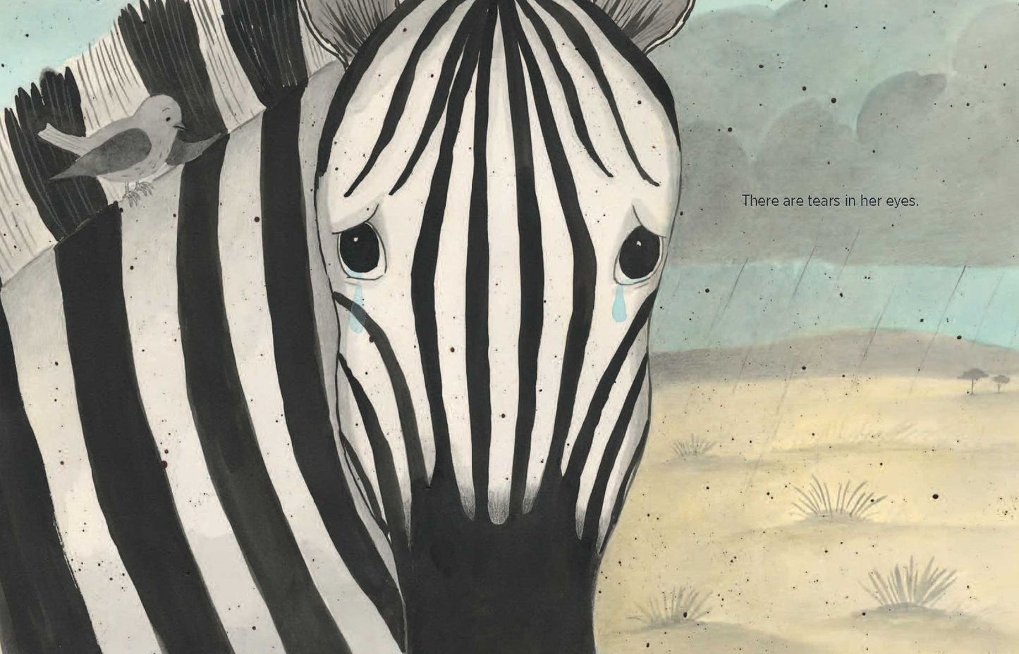 Zebra in the Mirror