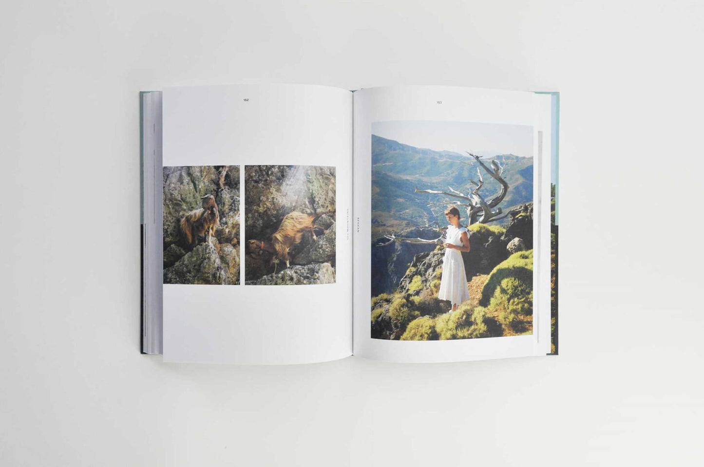 Aegean: Recipes from the Mountains to the Sea