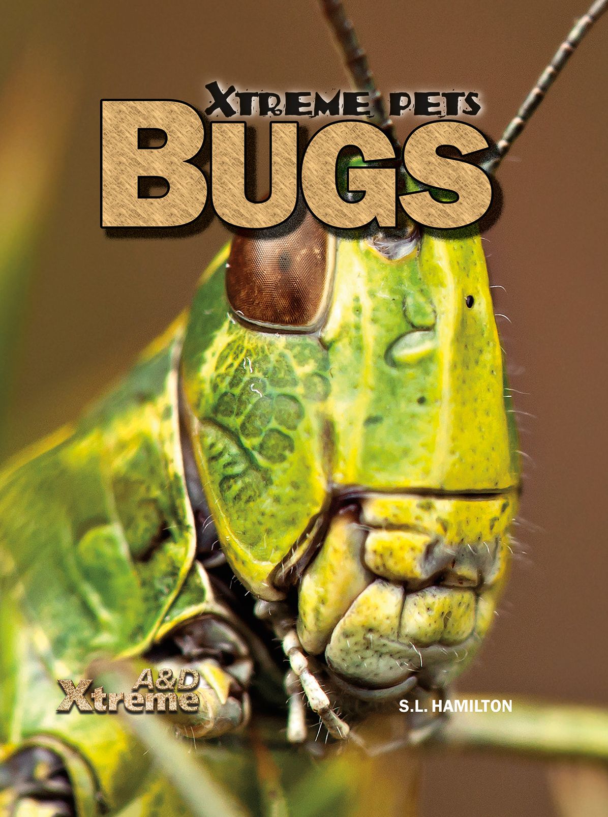Bugs