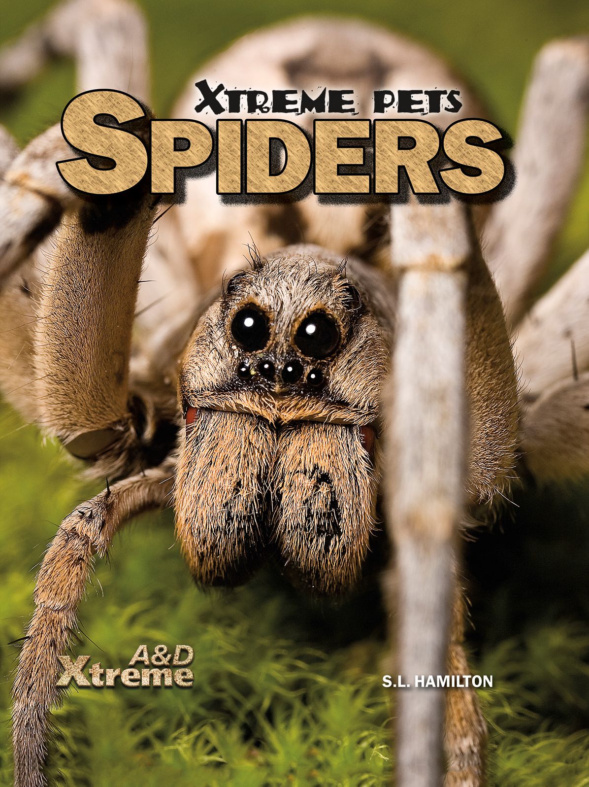Spiders