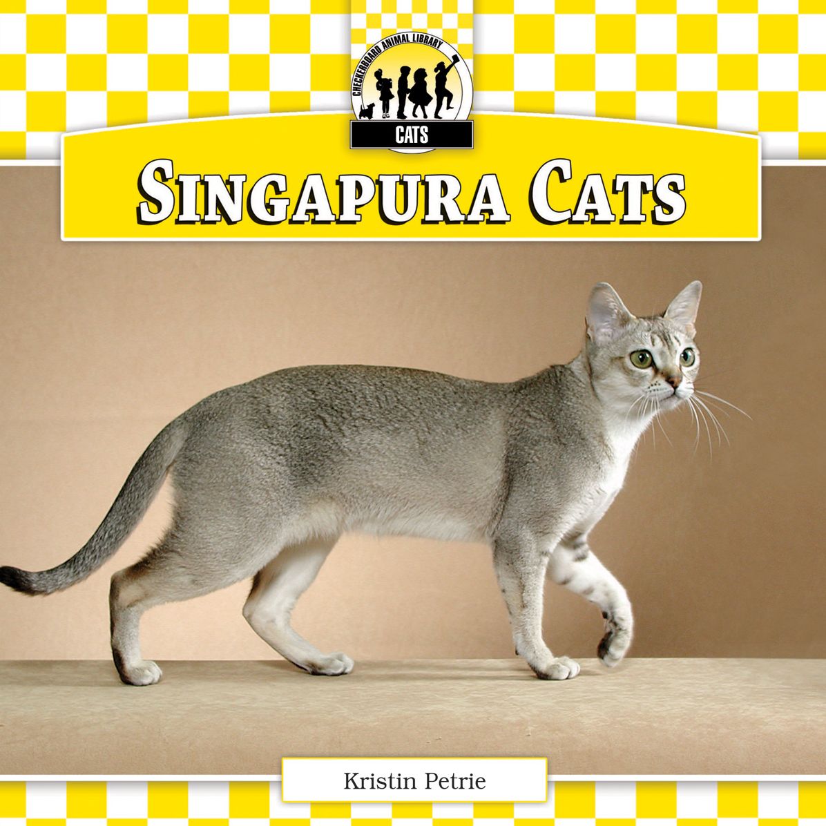 Singapura Cats eBook