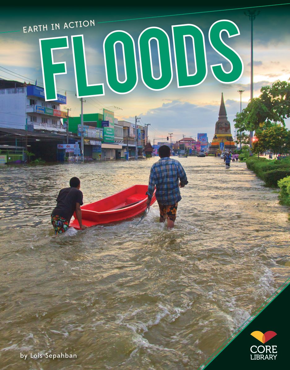 Floods eBook
