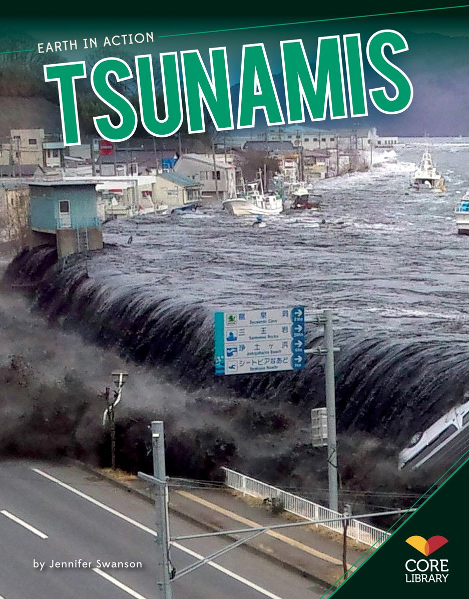 Tsunamis eBook