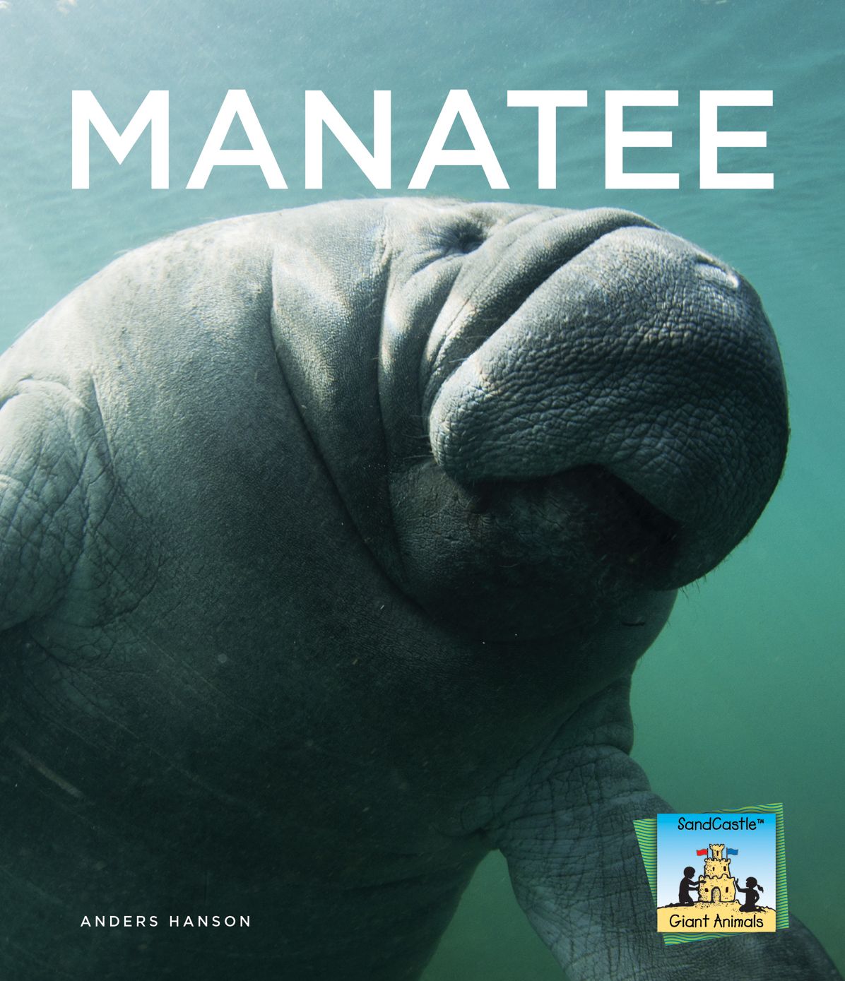 Manatee