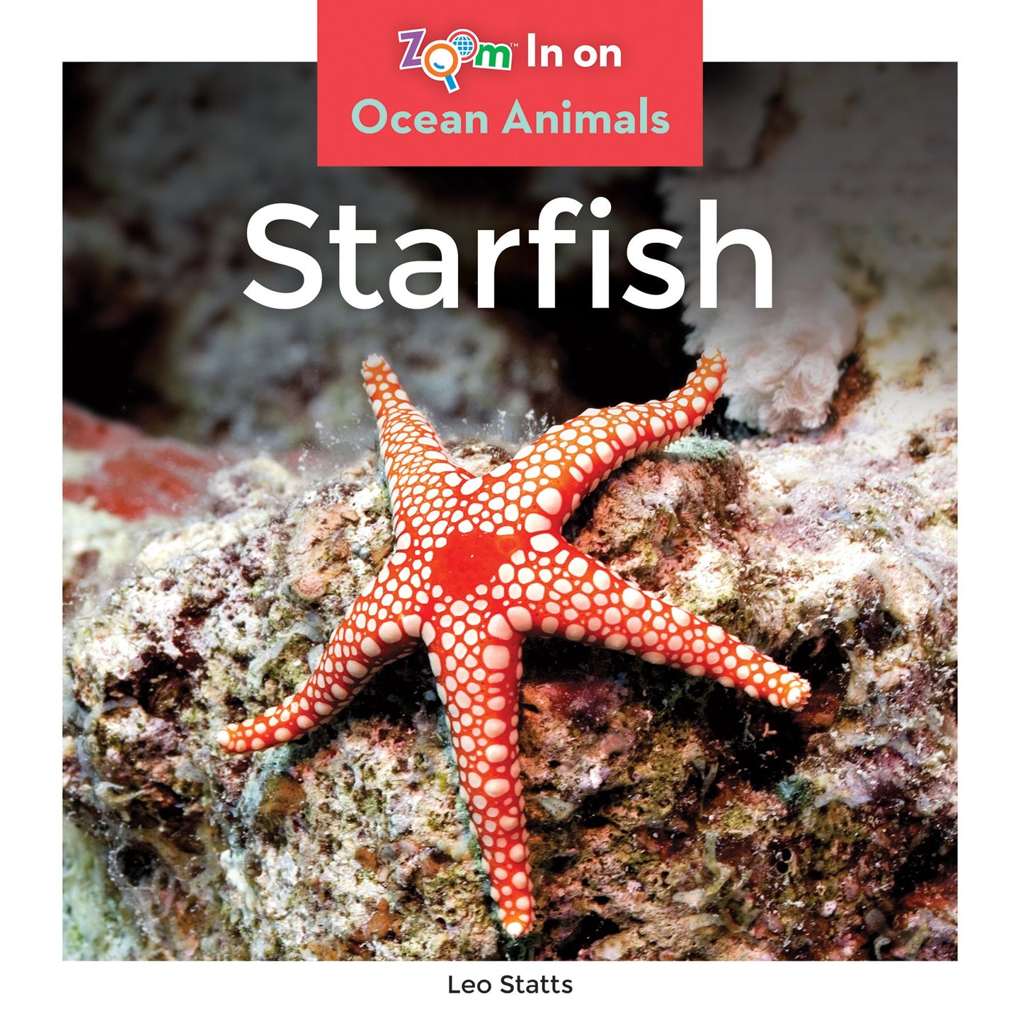 Starfish