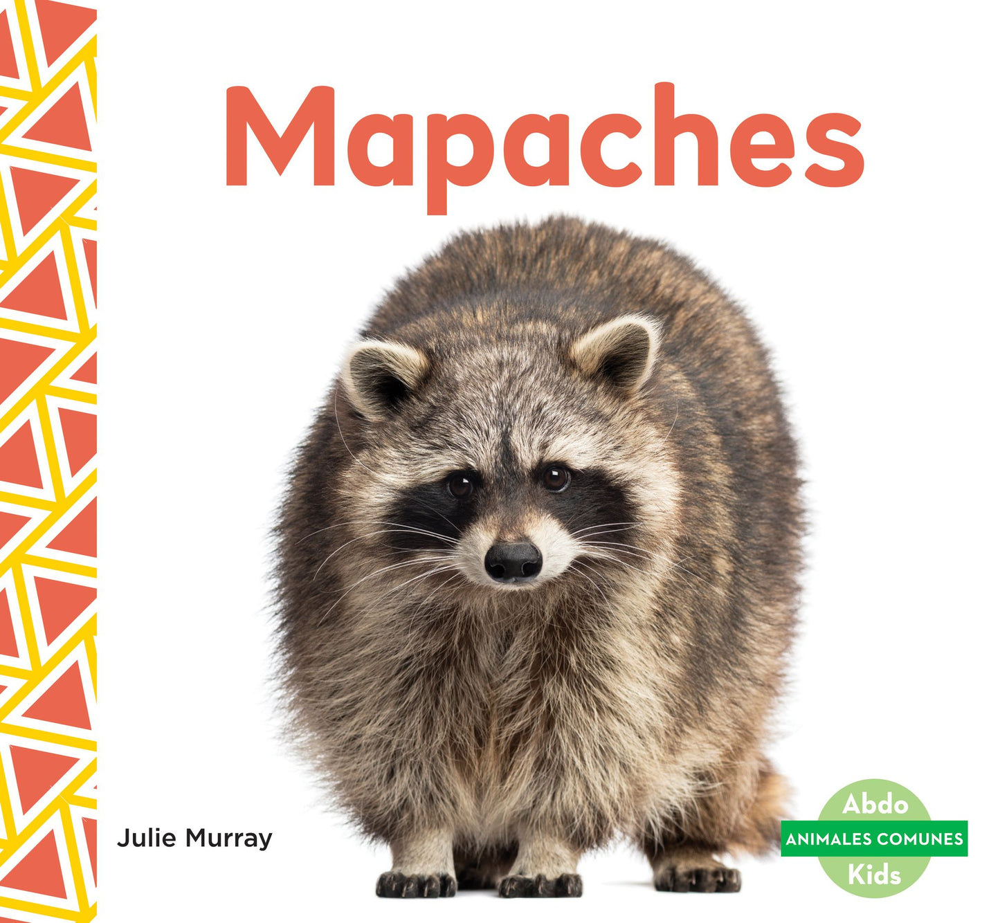 Mapaches (Raccoons)