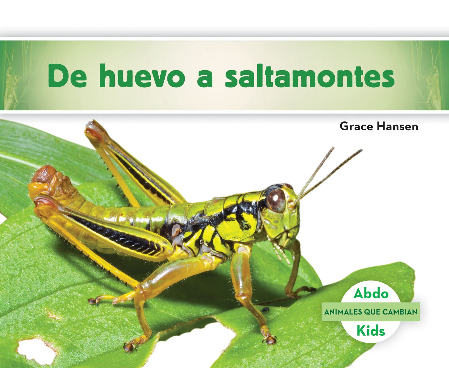 de Huevo a Saltamontes (Becoming a Grasshopper )