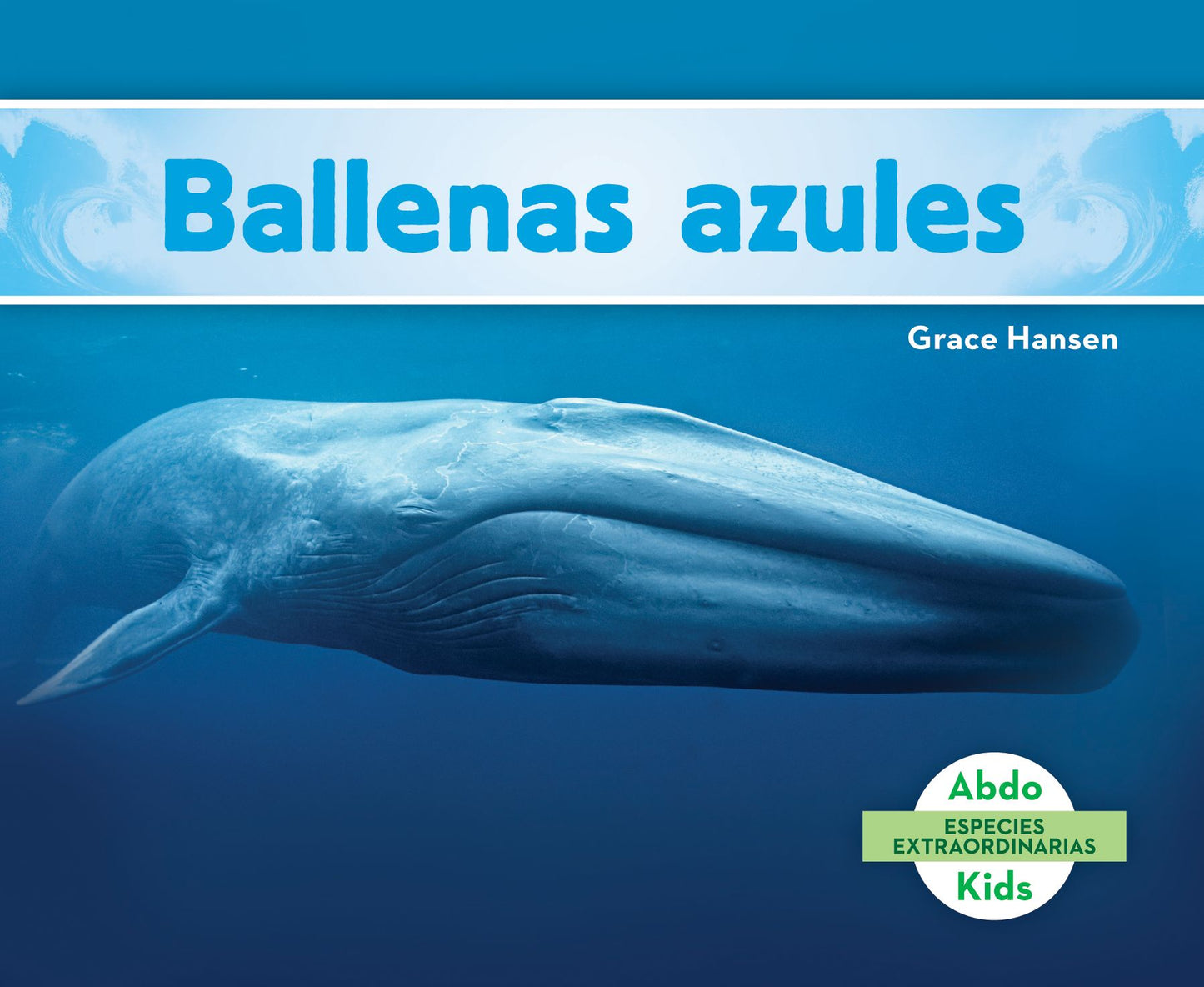 Ballenas Azules (Blue Whales )