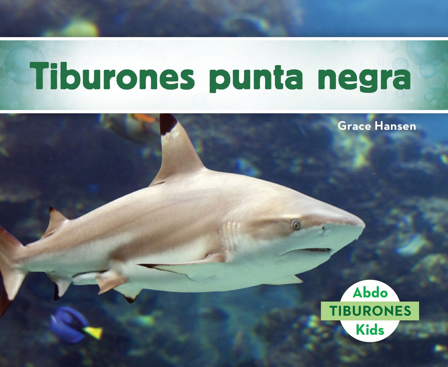 Tiburones punta negra (Blacktip Reef Sharks)