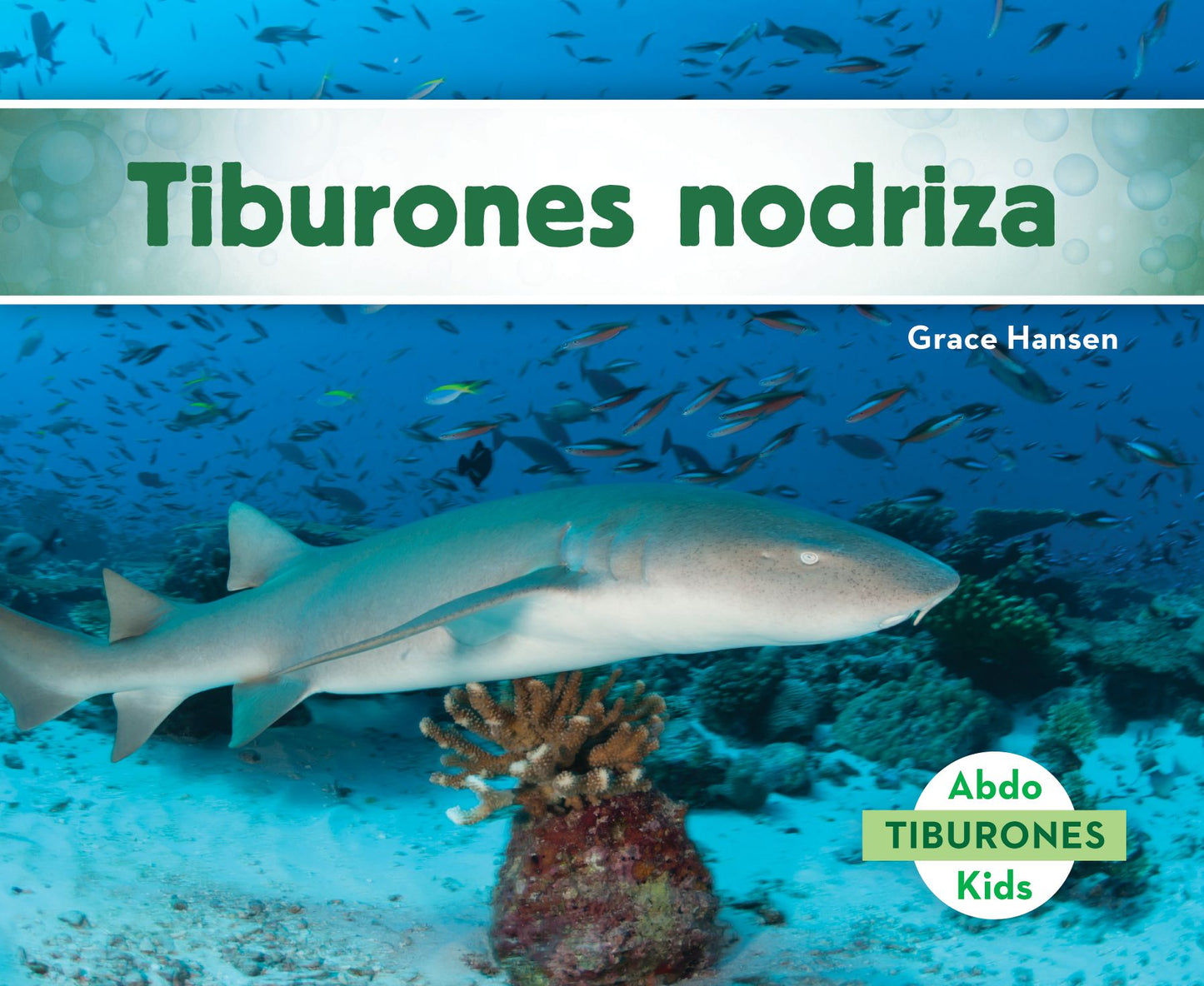 Tiburones nodriza (Nurse Sharks)