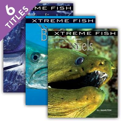 Xtreme Fish