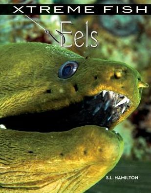 Eels