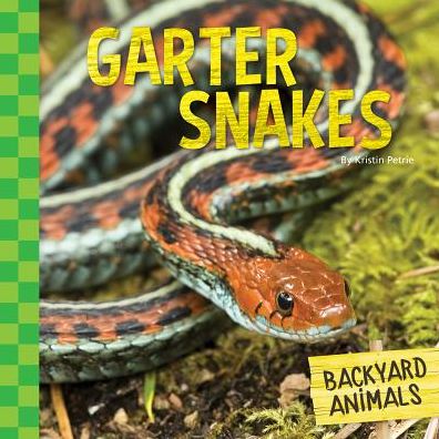 Garter Snakes