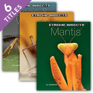 Xtreme Insects