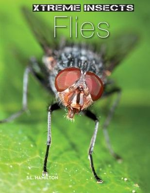 Flies