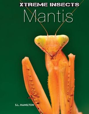 Mantis