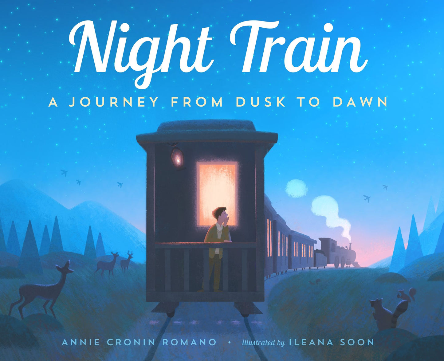 Night Train : A Journey from Dusk to Dawn