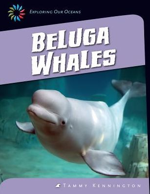 Beluga Whales