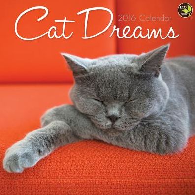 2016 Cat Dreams Wall Calendar
