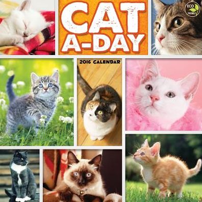 2016 Cat A Day Wall Calendar