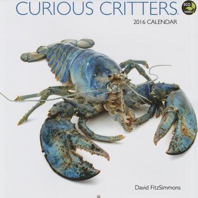 2016 Curious Critters Wall Calendar