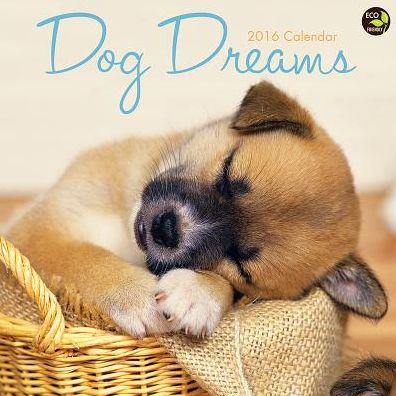 2016 Dog Dreams Wall Calendar