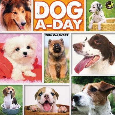 2016 DogADay Wall Calendar