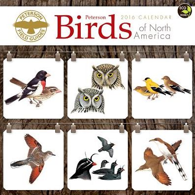 2016 Peterson Field Guide Birds Wall Calendar