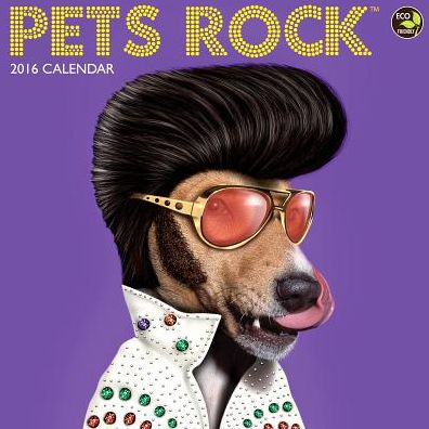 2016 Pets Rock Wall Calendar