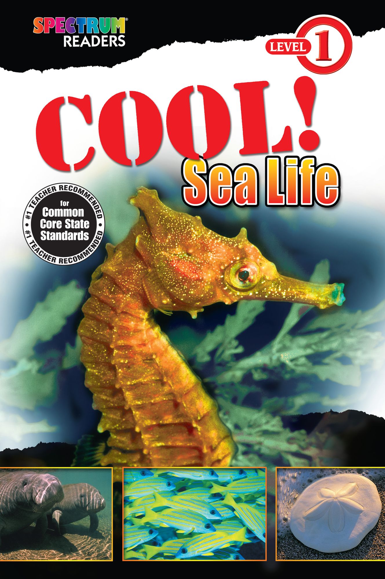 Cool! Sea Life: Level 1