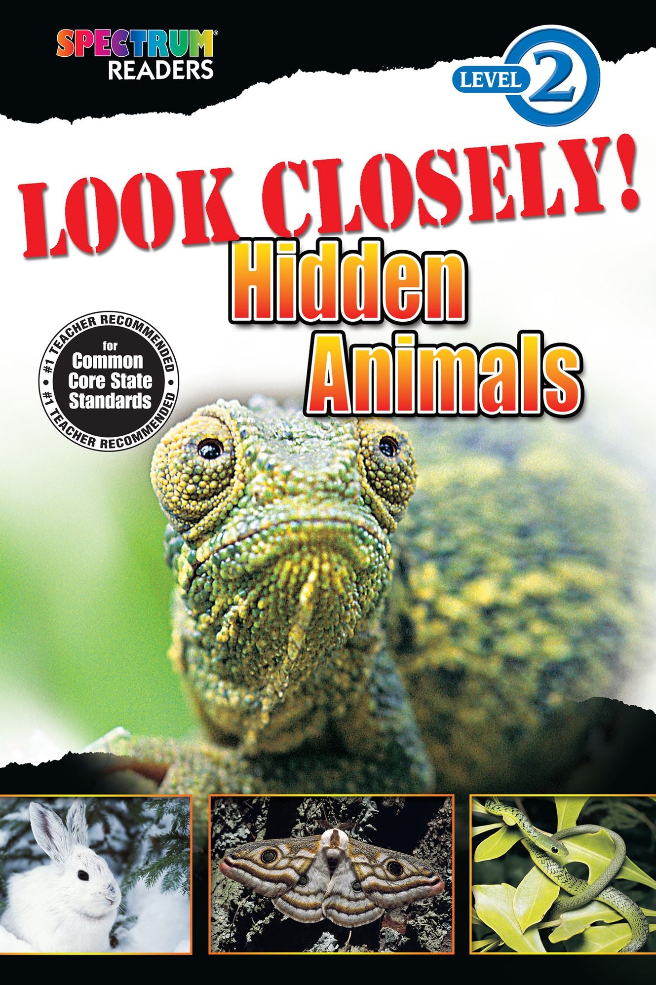 Look Closely! Hidden Animals: Level 2