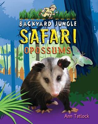 Opossums