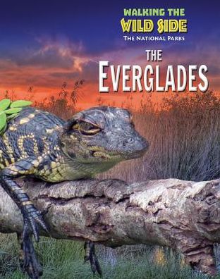Everglades