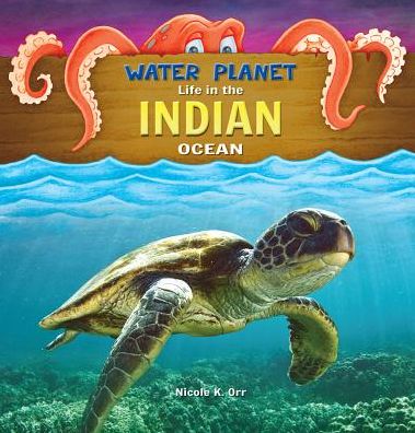 Indian Ocean