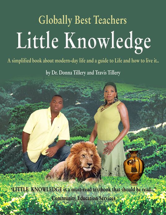 Little Knowledge: A Simplified Book About Modern-Day Life and a Guide to Life and How to Live It..