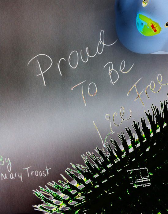 Proud To Be Lice Free