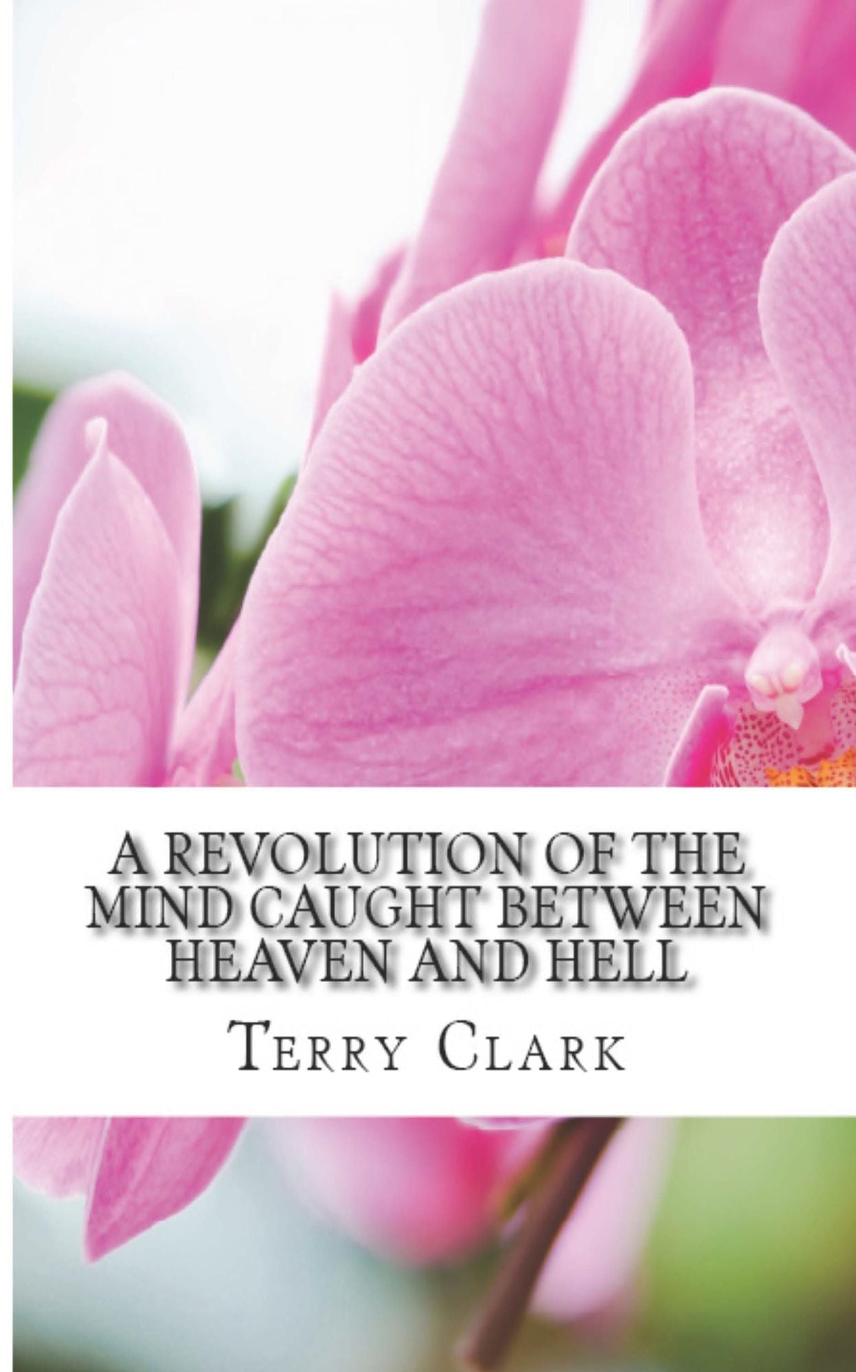 A Revolution of the Mind: Caught Between Heaven and Hell