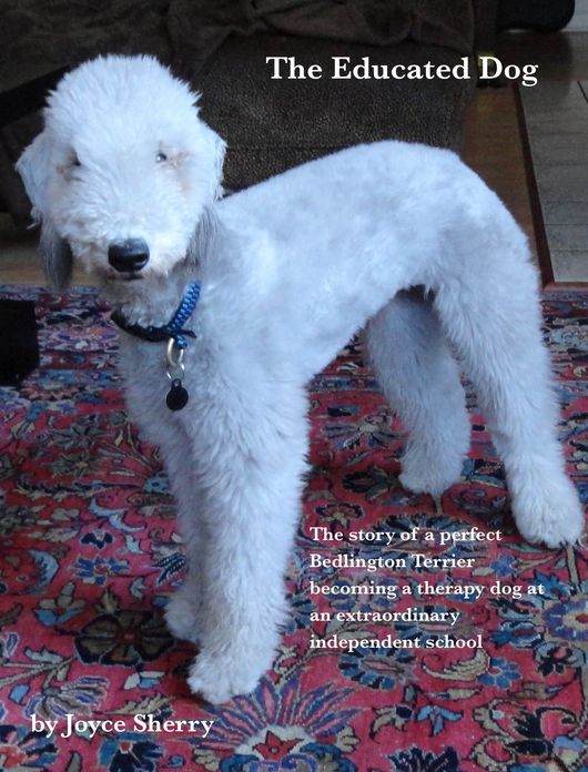 The Educated Dog