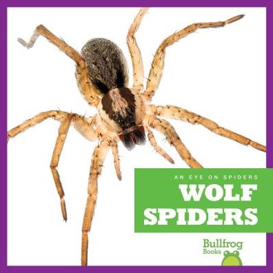 Wolf Spiders