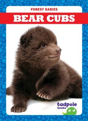 Bear Cubs