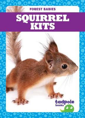 Squirrel Kits
