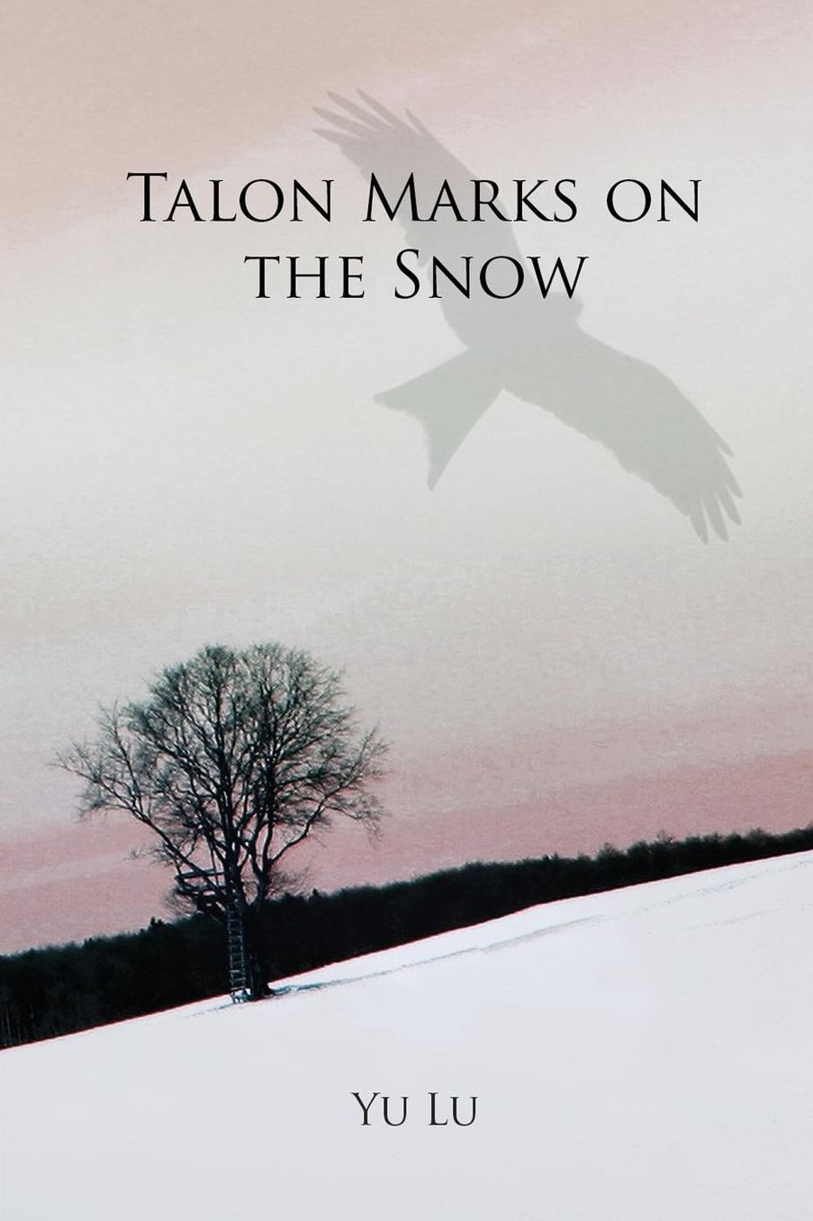 Talon Marks on the Snow